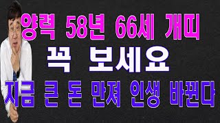 58년 66세 개띠분들의 2024년 신년운세 꼭 보세요 인생이 바뀐다.