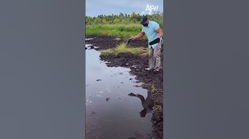 He definitely goes straight to another dimension #funny #fail #mud #afv