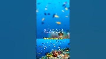 تلاوة خاشعة ومؤثرة للقارئ عبدالرحمن مسعد ❤️🔕 #القرآن_الكريم #ترتيل #تلاوة_خاشعة #عبدالرحمن_مسعد
