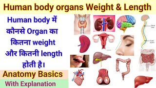 Human body organs weight & length #humanbody में कौनसे Organ का कितना weight और कितनी length होती है