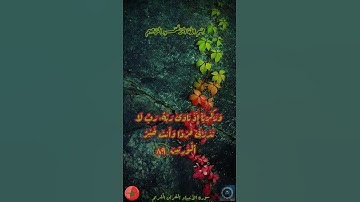 الآية ٨٩ و٩٠ من سورة الأنبياء، القرآن الكريم #القرآن_الكريم #بسم_الله_الرحمن_الرحيم #سورة_الأنبياء