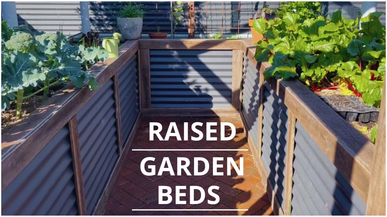 How To Build DIY Raised Garden Beds Cheap | Recycled Corrugated Metal ...