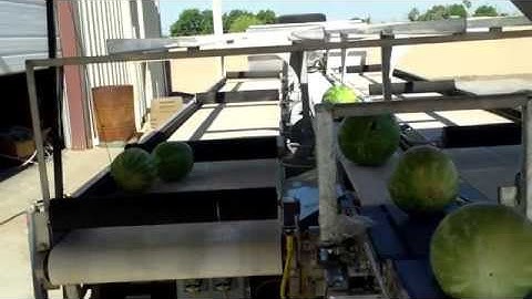 Watermelon Sorting Machine