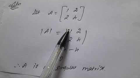 11th Business Maths Chapter 1 Matrices and Determinants - Class 13
