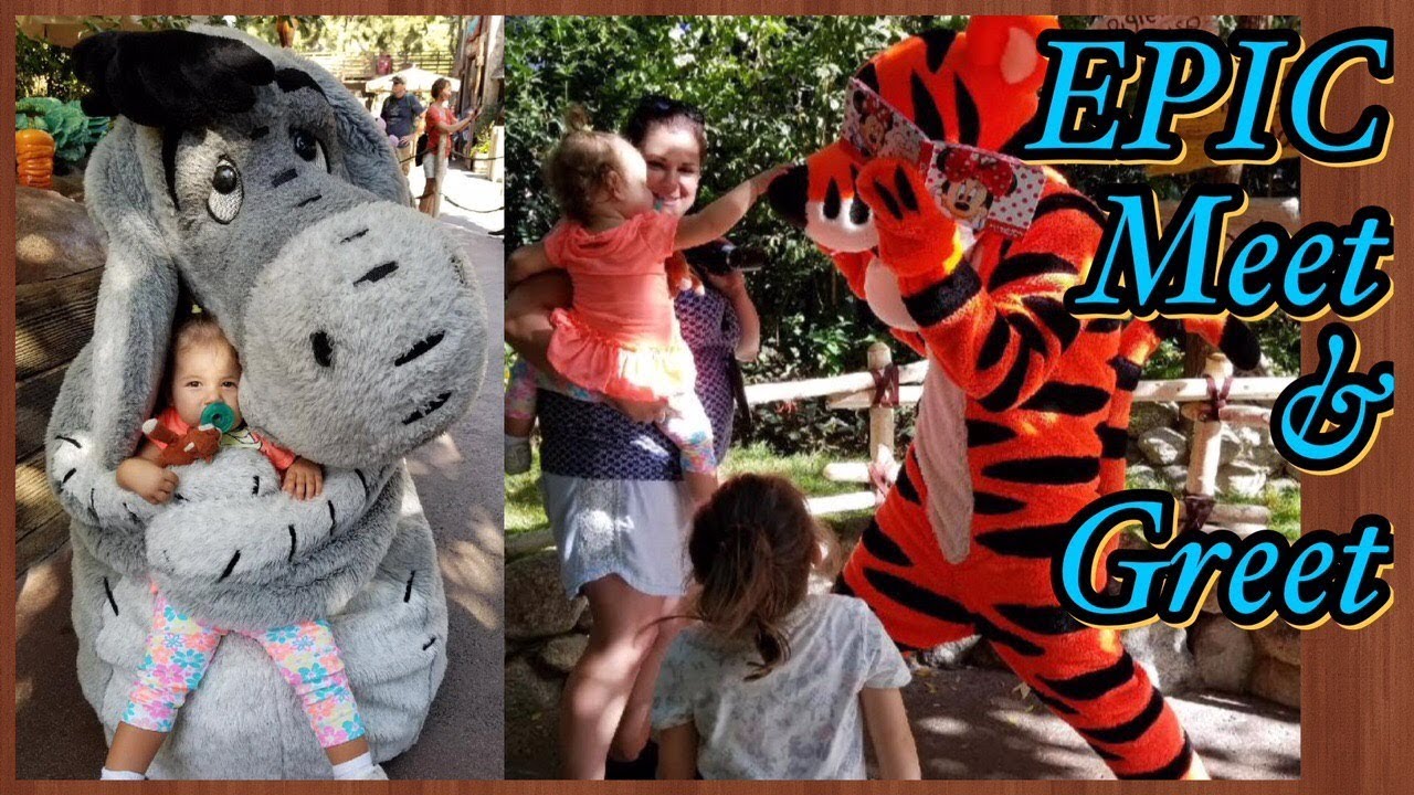 ADORABLE Pooh characters Meet & Greet at Disneyland! MEMORABLE & MUST SEE!