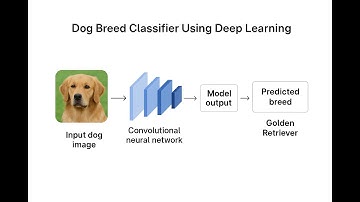 Dog Breed Classifier Using Deep Learning