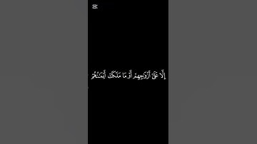 سورة المؤمنون/القارئ محمد اللحيدان