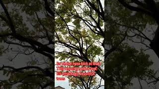 #travel #adventureexploring #adventuretourism #adventuretravel #viralshort