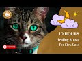 Healing Music For Sick Cats 10 Hours Relaxing Music For Cat