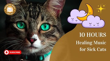 Healing Music for Sick Cats 10 Hours 🐾 Relaxing Music for Cat