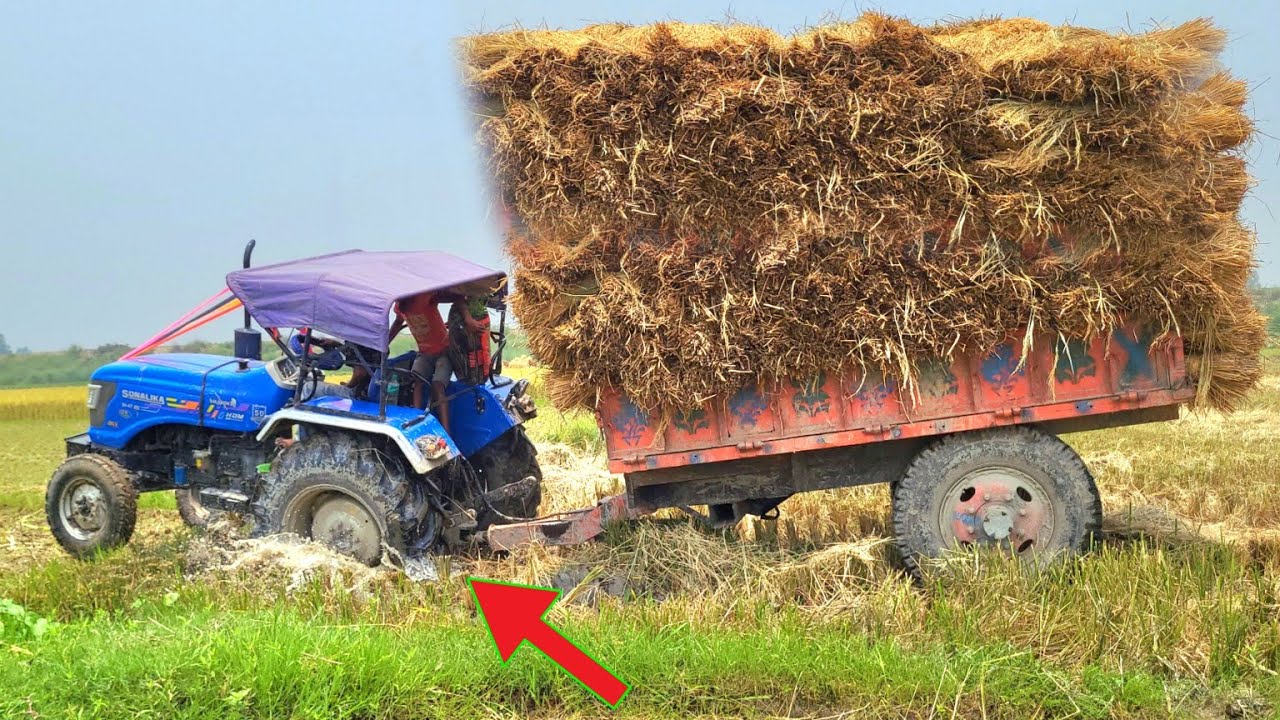 Sonalika Sikandar Tractor Loading Mud | Sonalika Tractor Over Load Trolley