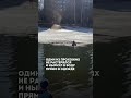 Прыгнул в ледяную воду, чтобы спасти дворнягу