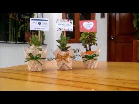 REGALA VIDA recuerdos de plantas vivas originales