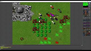 TibiCAM [7.6] High lvl Paladin blocking the Old Widow!