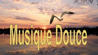 Musique douce pour la paix intérieure ⭐ Musique new age relaxation ⭐harmonie des sons e sensations