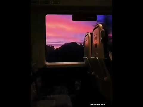 هبة طوجي طريق