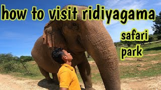 රිදියගම සෆාරි යන්නේ කොහොමද / How to visit ridiyagama safari park #safari #ridiyagamasafari