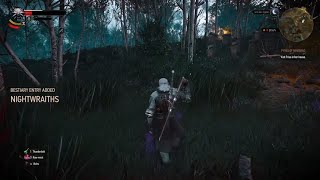 How to kill Nightwraiths in The Witcher 3 wild hunt