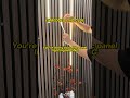You're doing acoustic panel lighting WRONG. #LEDStrip #OEMManufacturer #AcousticPanels #WholesaleLED