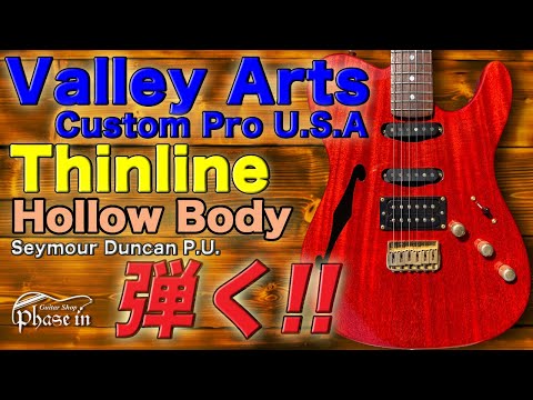 VALLEY ARTSバレイアーツ　テレキャスター ダンカン　エボニー VALLEY ARTSバレイアーツ テレキャスター ダンカン エボニー