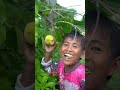 Outdoorfood SIMPLE and USEFUL NEW IDEA UNLOCKED In Forest #survival #forest #outdoor # 6⁷89000⁷⁶54
