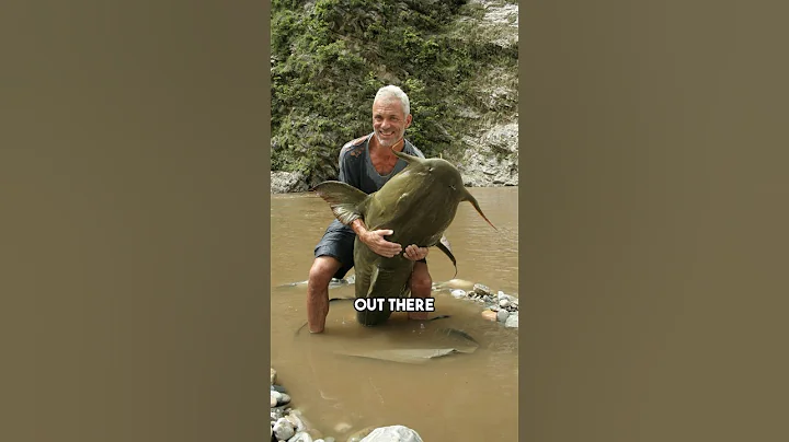 The River Monster Fish Ended! - DayDayNews