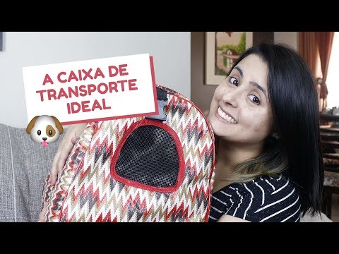 Vídeo: Como Escolher Uma Sacola Para Cães