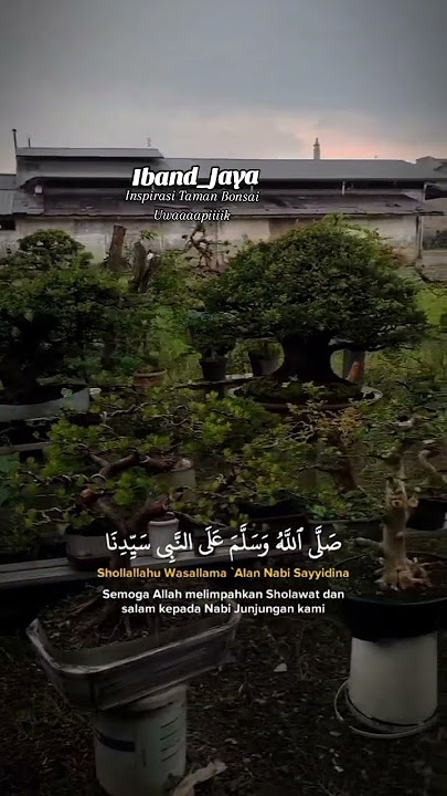 🔴Assalamu'alaikum bolo, Mari Baca Al-Qur'an, Berdo'a & Berdzikir. Inspirasi Taman Bonsai Uwapik.