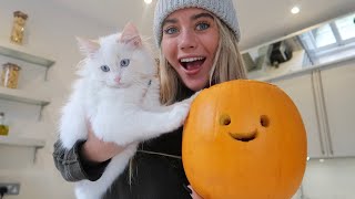 day in the life of a cat mum by olivia neill 419,421 views 2 years ago 15 minutes