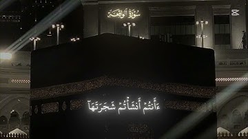 سورة الواقعة 68-74