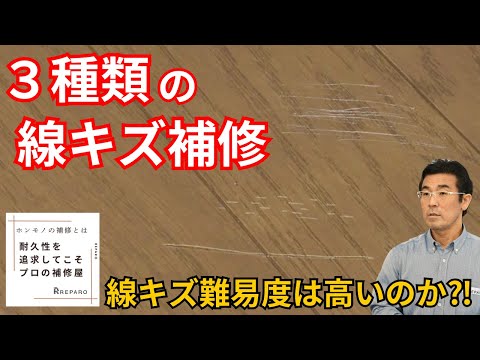 実は放置が正解だった？木の傷の原因と正しいケア方法