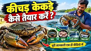 🦀 Mud Crab Fattening: Complete Guide | Crab Selection, Feeding, Water Management & Harvesting 🦀 Mud Crab Fattening: Complete Guide | Crab Selection, Feeding, Water Management & Harvesting