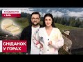 УКРАЇНСЬКІ КАРПАТИ! Де найкраще відпочити з родиною влітку? Експедиція "Сніданку"