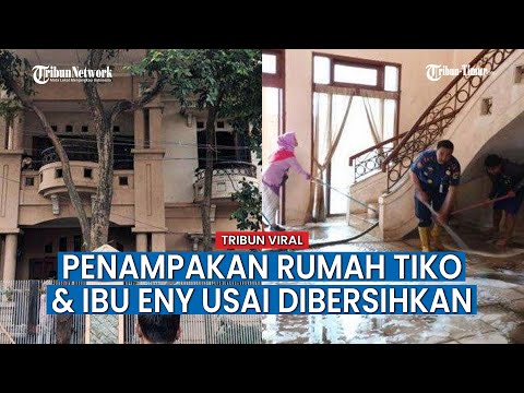 Video: Apakah tikus hidup dalam keluarga?