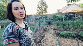 the ONE ACRE micro Farm | Anyone Could Do | Feat. Weed em and Reap