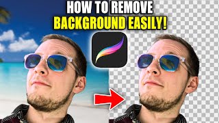 How to Remove a Background From an Image With Procreate on iPad screenshot 5