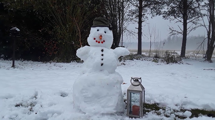 Savid :    Snowman -  Lumiukko