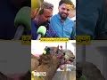 Camel Haircut Specialist Steals the Spotlight! | Discover Pakistan Shorts