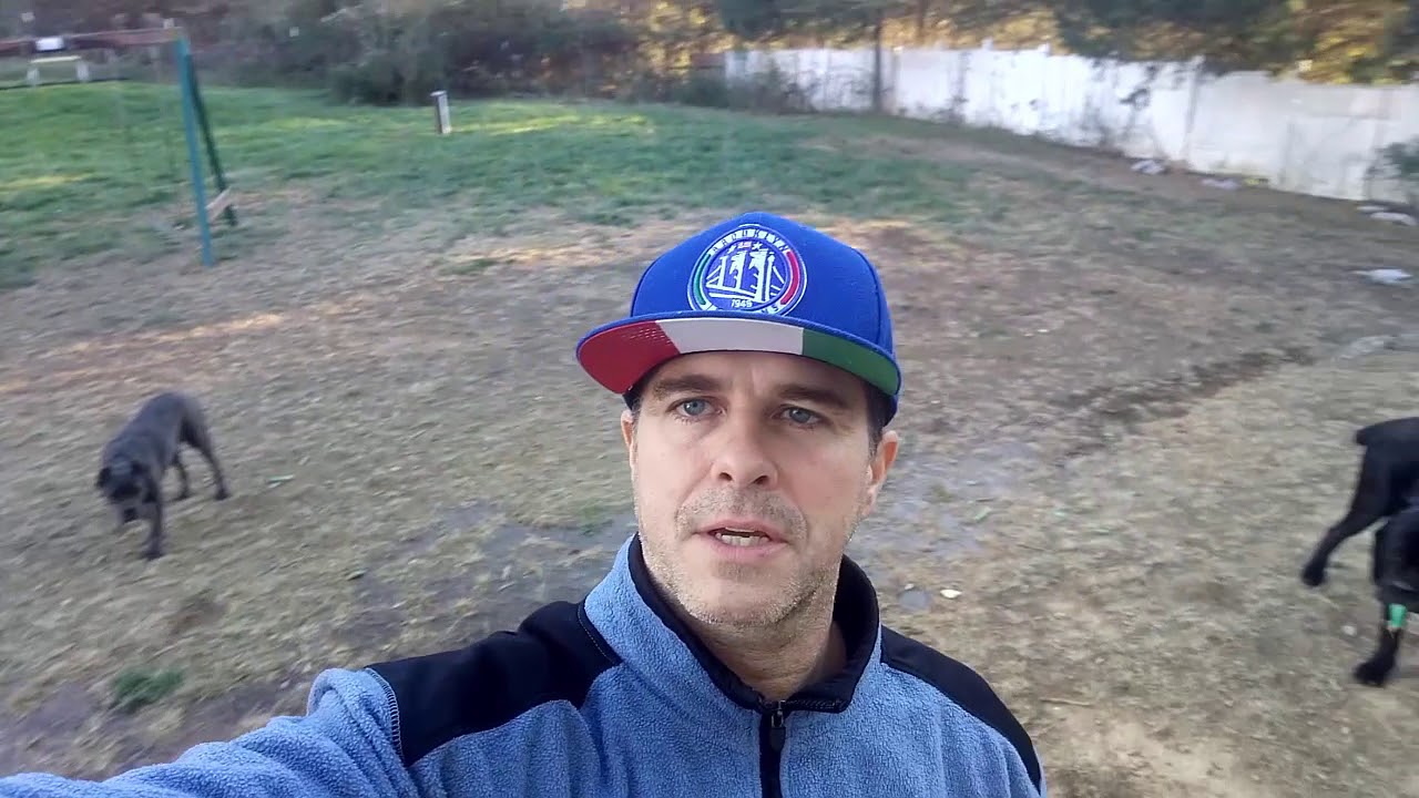 provide lots of water for your cane corso YouTube