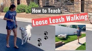 How to Train Your Dog NOT to Pull-Loose Leash Walking