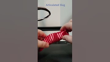 Articulated Slug 3D printed time lapse