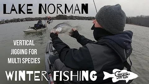 Lake Norman winter fishing / catching whatever bites