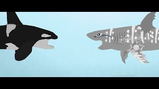 Pivot Animator Orca Vs Megalodon