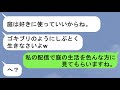 【LINE】義実家に一人で帰省すると、私を置いて旅行に出かけていた義家族。姑「ダンボール余ってるから庭で使ってw」→お望み通りにしてあげたら義母が地獄を見る事にw【スカッと】