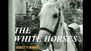White Horse Tv Theme By Jackie Lee. Best Kids Tv Show Theme Ever?