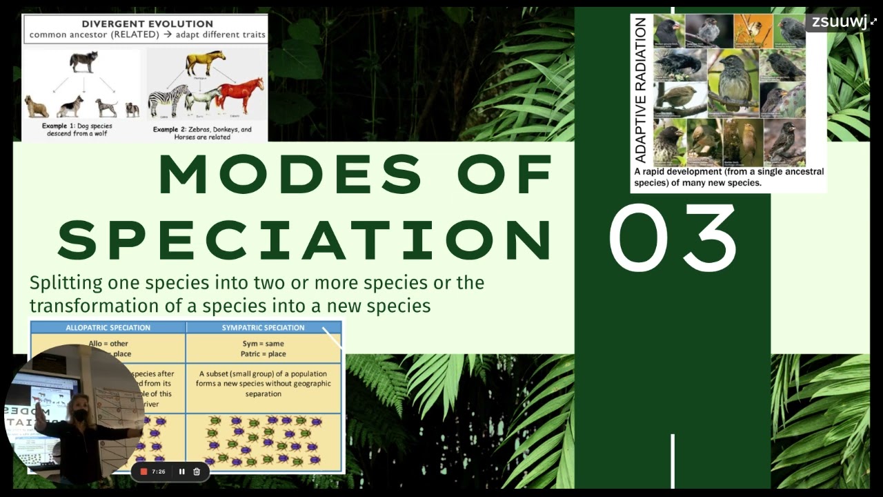 APBio Review Chapter 17 : Speciation & Macroevolution