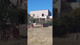 #de paseo Horta ves por la hacienda de panzacola en Ayotlan Jalisco México #short