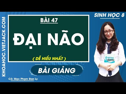 Video Đại não - Bài 47 - Sinh học 8 - Cô Mạc Phạm Đan Ly (DỄ... - youtube