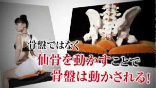 仙骨クッションつき　兼子ただし最後の本「真実の骨盤矯正」のご案内