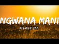 Felo Le Tee Ngwana Mani Lyrics